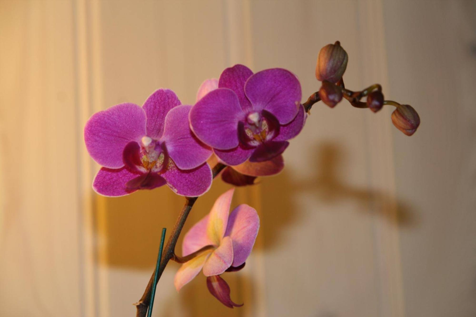 Dalen Bed & Breakfast Zewnętrze zdjęcie